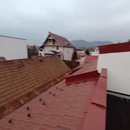Old Town Studio Apartments Baia Mare Eksteriør billede